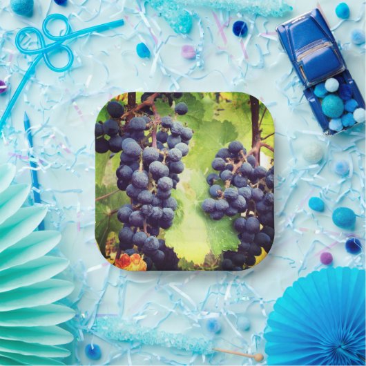 Papierplatte Pappteller (Party)