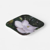 Papierplatte Pappteller (Gewinkelt)