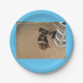 Papierplatte Pappteller (Vorderseite)