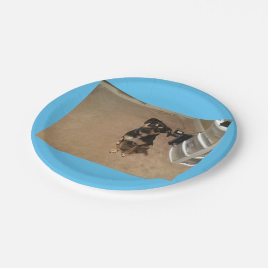 Papierplatte Pappteller (Schrägansicht)