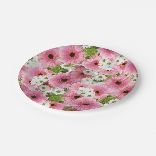 Papierplatte Pappteller (Schrägansicht)