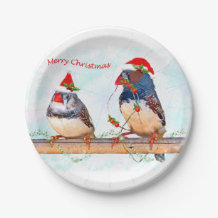 Papierplatte Pappteller