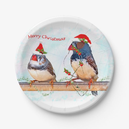 Papierplatte Pappteller (Vorderseite)