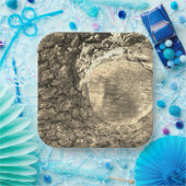 Papierplatte Pappteller (Party)