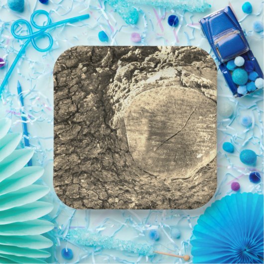 Papierplatte Pappteller (Party)