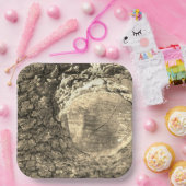 Papierplatte Pappteller (Party)