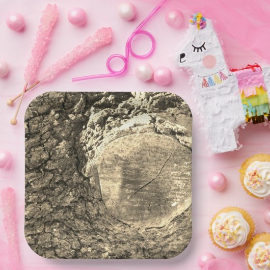 Papierplatte Pappteller (Party)