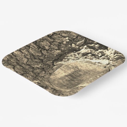 Papierplatte Pappteller (Gewinkelt)