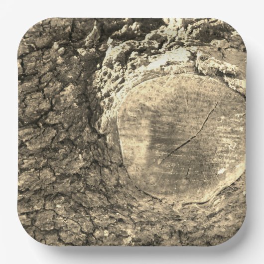 Papierplatte Pappteller (Vorderseite)