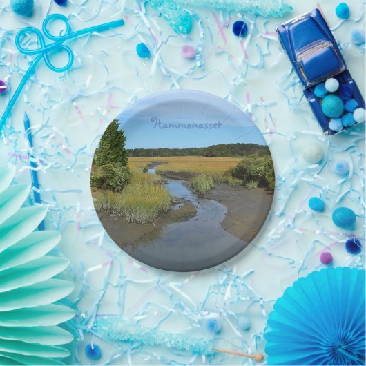 Papierplatte Pappteller (Party)