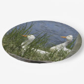 Papierplatte Pappteller (Schrägansicht)