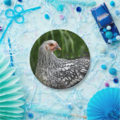 Papierplatte Pappteller (Party)