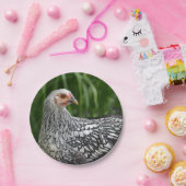 Papierplatte Pappteller (Party)