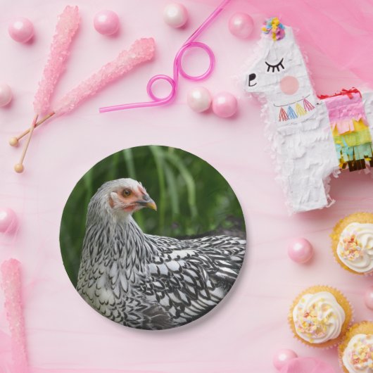 Papierplatte Pappteller (Party)