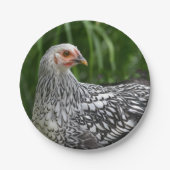 Papierplatte Pappteller (Vorderseite)