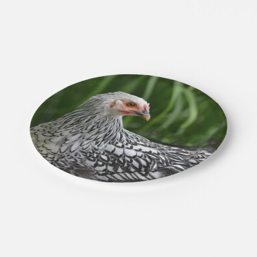 Papierplatte Pappteller (Schrägansicht)