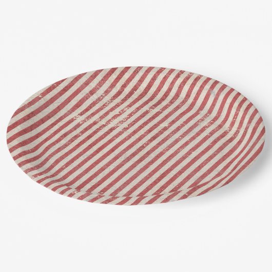 Papierplatte Pappteller (Schrägansicht)