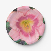 Papierplatte Pappteller (Vorderseite)