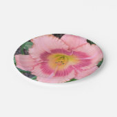 Papierplatte Pappteller (Schrägansicht)