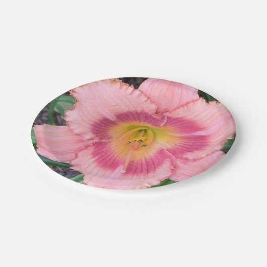 Papierplatte Pappteller (Schrägansicht)