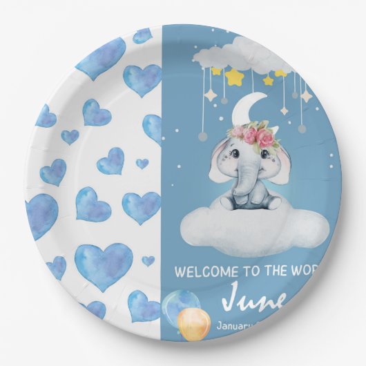 Papierplatte Pappteller (Vorderseite)