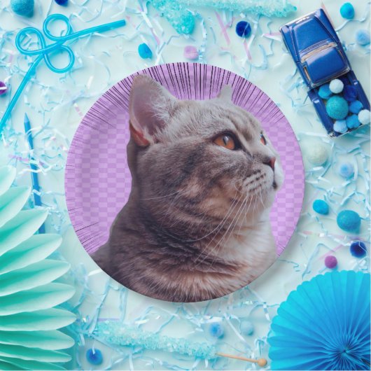 Papierplatte Pappteller (Party)