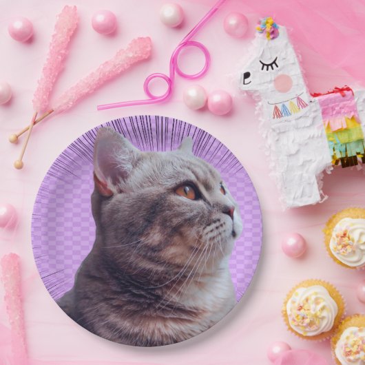 Papierplatte Pappteller (Party)