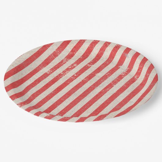 Papierplatte Pappteller (Schrägansicht)