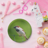 Papierplatte Pappteller (Party)