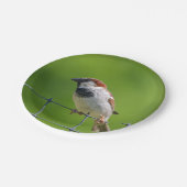 Papierplatte Pappteller (Schrägansicht)