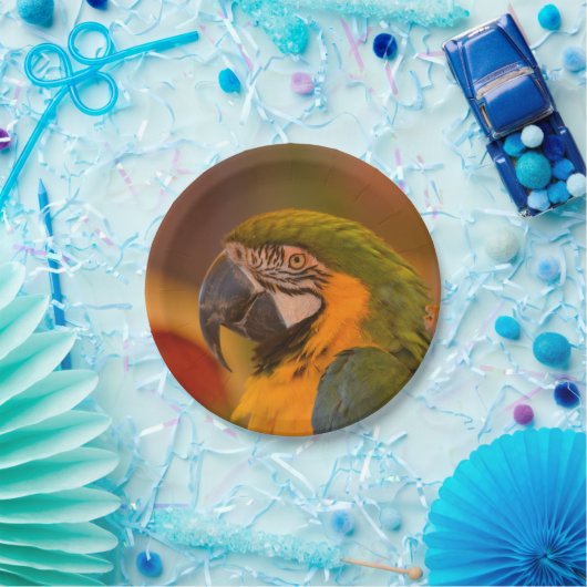 Papierplatte Pappteller (Party)