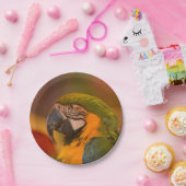 Papierplatte Pappteller (Party)