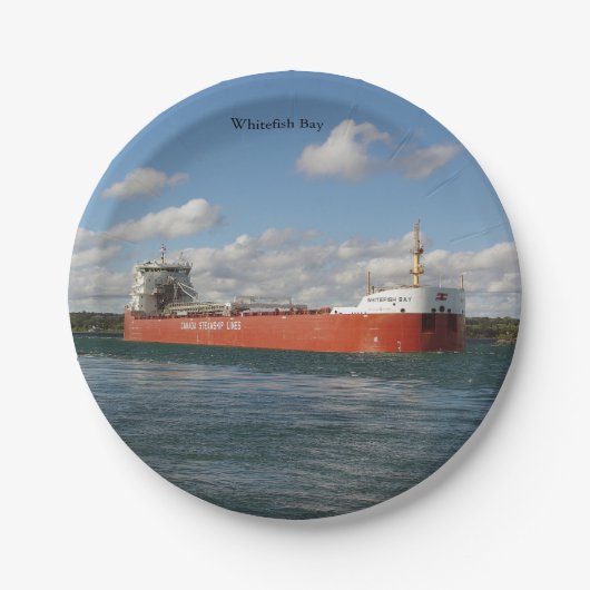 Papierplatte Pappteller (Vorderseite)