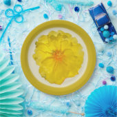 Papierplatte Pappteller (Party)