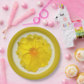 Papierplatte Pappteller (Party)