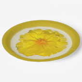 Papierplatte Pappteller (Schrägansicht)