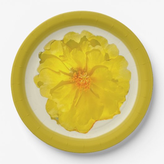 Papierplatte Pappteller (Vorderseite)