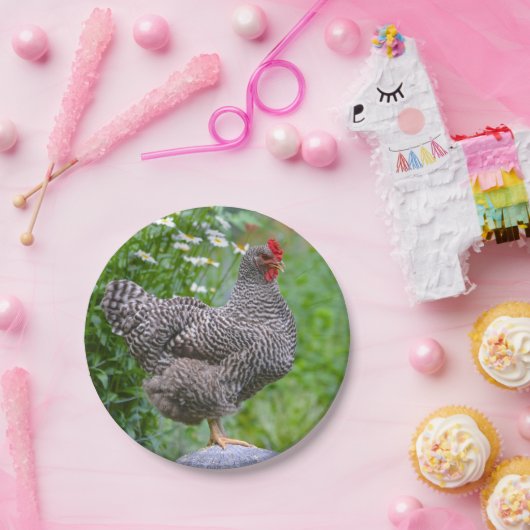 Papierplatte Pappteller (Party)