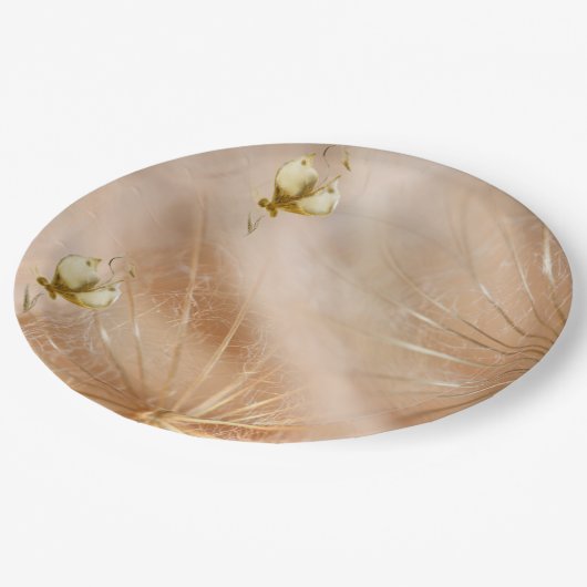 Papierplatte Pappteller (Schrägansicht)