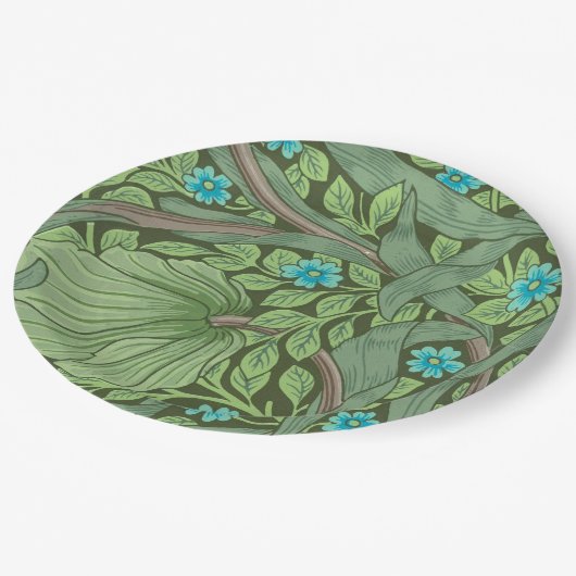 Papierplatte Pappteller (Schrägansicht)