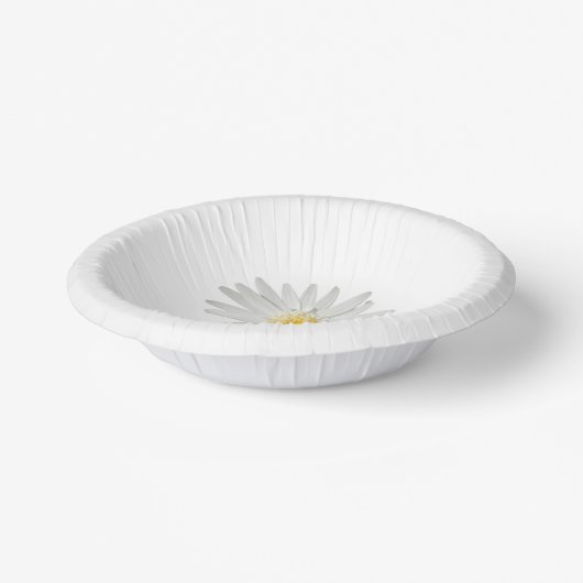 Papierplatte Pappteller (Gewinkelt)