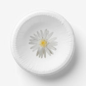 Papierplatte Pappteller (Vorderseite)