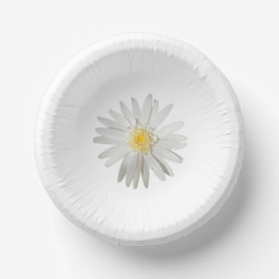 Papierplatte Pappteller