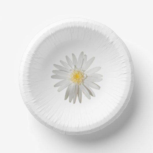 Papierplatte Pappteller (Vorderseite)