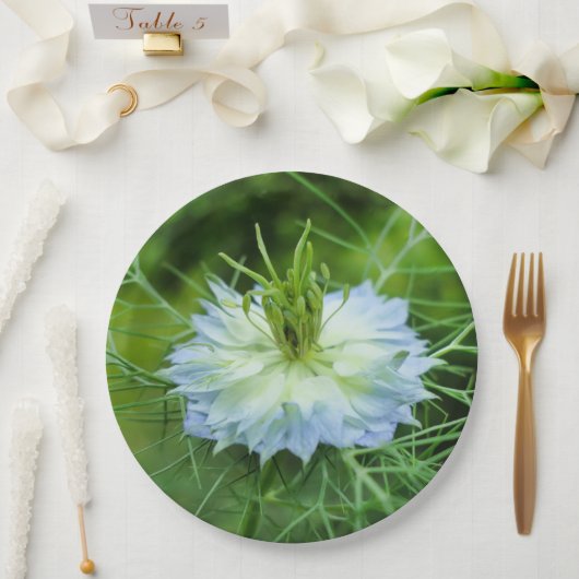 Papierplatte Pappteller (Hochzeit)