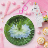 Papierplatte Pappteller (Party)