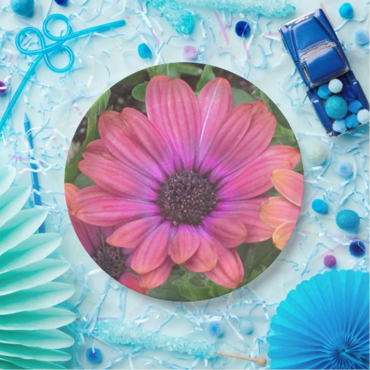 Papierplatte Pappteller (Party)