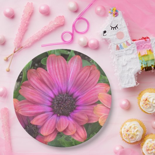 Papierplatte Pappteller (Party)