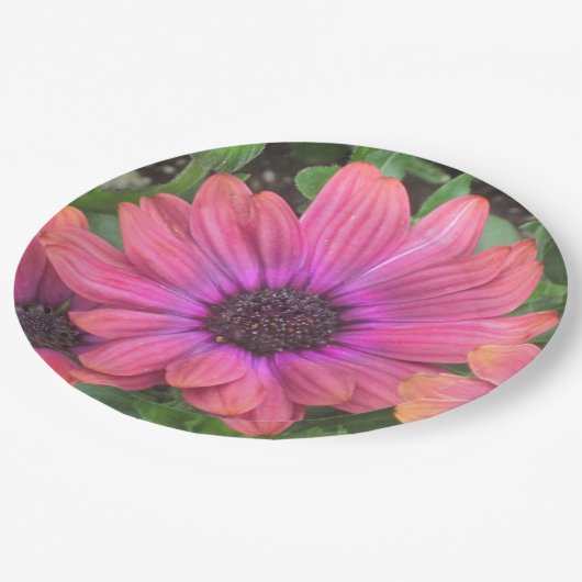 Papierplatte Pappteller (Schrägansicht)