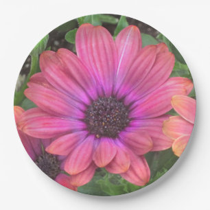 Papierplatte Pappteller